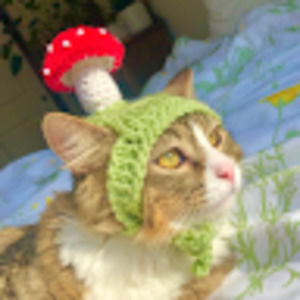 Meet your Posher, Alyse